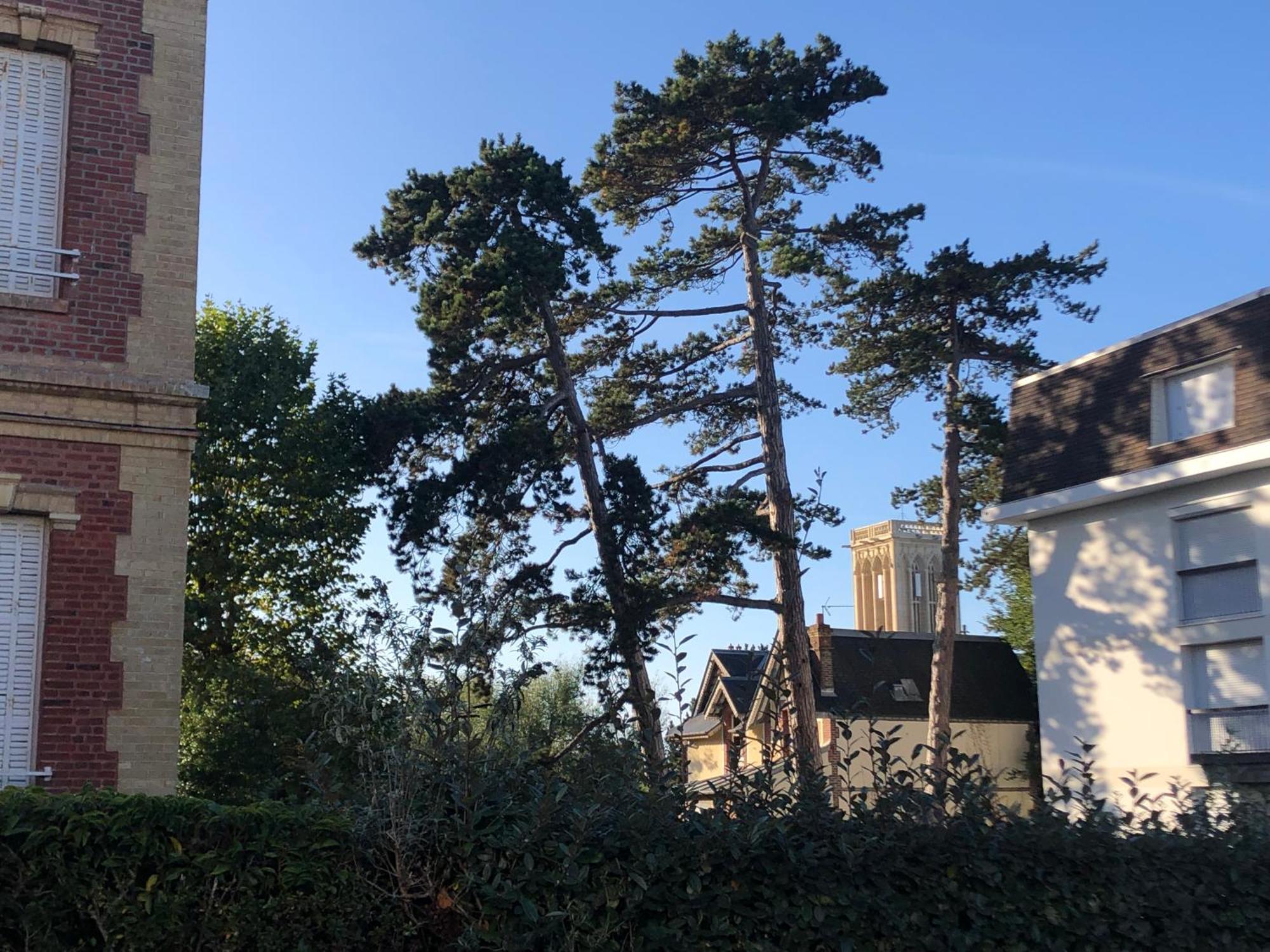 Ferienwohnung Les Pins Penches Villers-sur-Mer Exterior foto